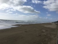 Norma Februar 2016   145